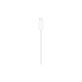 Chargeur magnétique rapide pour câble USB-C pour Apple Watch, 1 m, aluminium, bulk