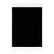 Apple iPad Mini 5 - Écran LCD + Écran Tactile (White) Refurbished