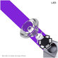 2UUL Lampe à polymérisation UV (haute capacité)