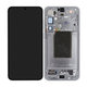 Samsung Galaxy S25 Plus - Écran LCD + Écran tactile + Cadre (Silver Shadow) - GH82-36368A Genuine Service Pack
