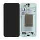 Samsung Galaxy S25 Plus - Écran LCD + Écran tactile + Cadre (Mint) OLED