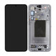 Samsung Galaxy S25 Plus - Écran LCD + Écran tactile + Cadre (Silver Shadow) OLED