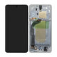 Samsung Galaxy S25 Edge - Ecran LCD + Ecran Tactile + Cadre (Titanium Silver) - GH82-37224A Genuine Service Pack