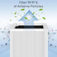 Blueair Blue Pure 211+ - Filtre HEPA (Charbon actif)