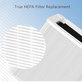 Blueair Blue Pure 211+ - Filtre HEPA (Charbon actif)