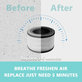 Levoit Vista 200 - Filtre HEPA (Charbon actif)