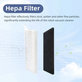 Filtre HEPA, 2 pièces pour Rowenta X-plorer S65, S65+, S70, S70+, S75s, S75s+