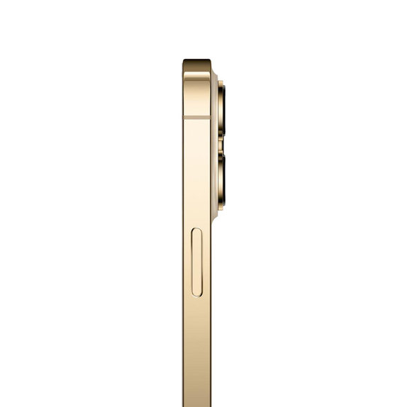 Apple iPhone 13 Pro Max Gold 256GB B Reconditionné