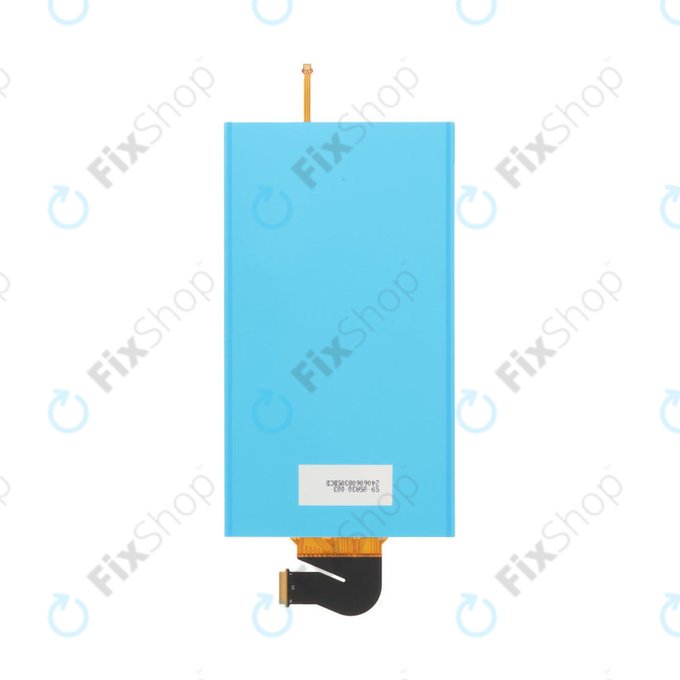 Écran LCD pour Nintendo Switch Lite