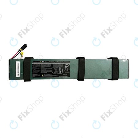 Ninebot Segway F2 Pro - Batterie