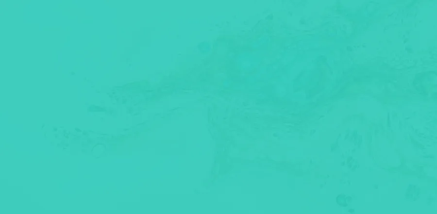 563427