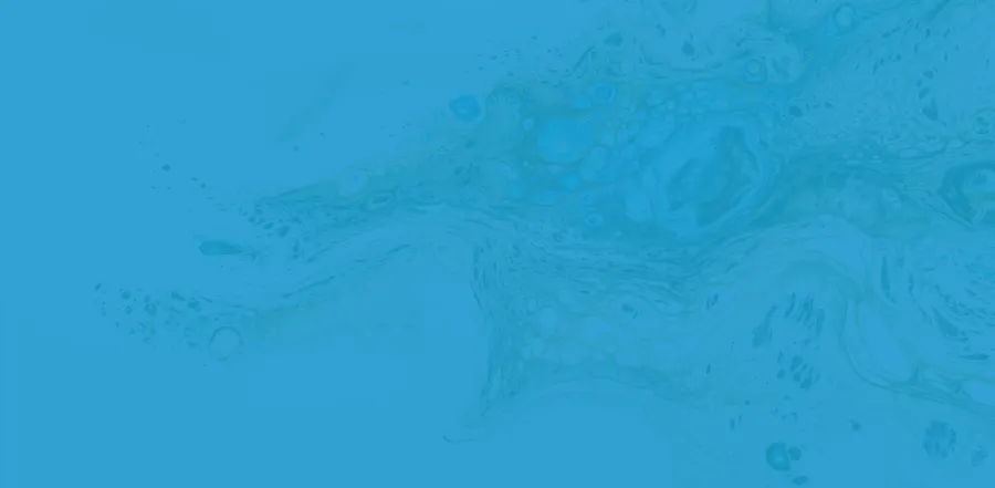 563338