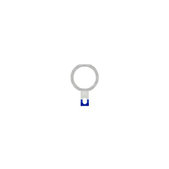 Apple iPad Air - Cercle en plastique du bouton Home (Blanc)