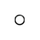 Apple iPad Mini 3 - Cercle en plastique du bouton d'accueil