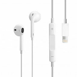 Apple - Connecteur Lightning pour écouteurs EarPods - MMTN2ZM/A