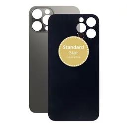 Apple iPhone 12 Pro Max - Verre du boîtier arrière (Graphite)