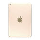Apple iPad Mini 5 - Boîtier arrière version 4G (Or)
