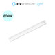 FixPremium - Veilleuse LED avec détecteur de mouvement (blanc froid), (0,3 m), blanc