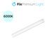 FixPremium - Veilleuse LED avec détecteur de mouvement (blanc froid), (0,2 m), blanc