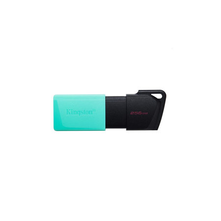 Kingston - FlashDisk DataTraveler 256 Go, USB 3.2, vert