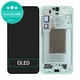 Samsung Galaxy S25 Plus - Écran LCD + Écran tactile + Cadre (Mint) OLED