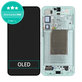 Samsung Galaxy S25 Plus - Écran LCD + Écran tactile + Cadre (Mint) OLED