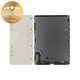 Assemblage de l'écran pour iPad (2025) | WiFi | 661-50893 | Genuine Apple