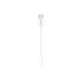 Huawei - Adaptateur Jack 3,5mm / USB-C - 55030086