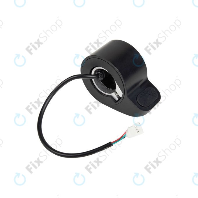 Argento Active 2022 - Accélérateur