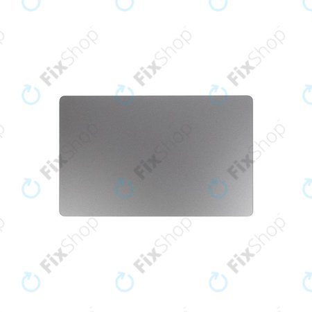 Apple MacBook Pro 16" A2141 (2019) - Trackpad (gris sidéral)